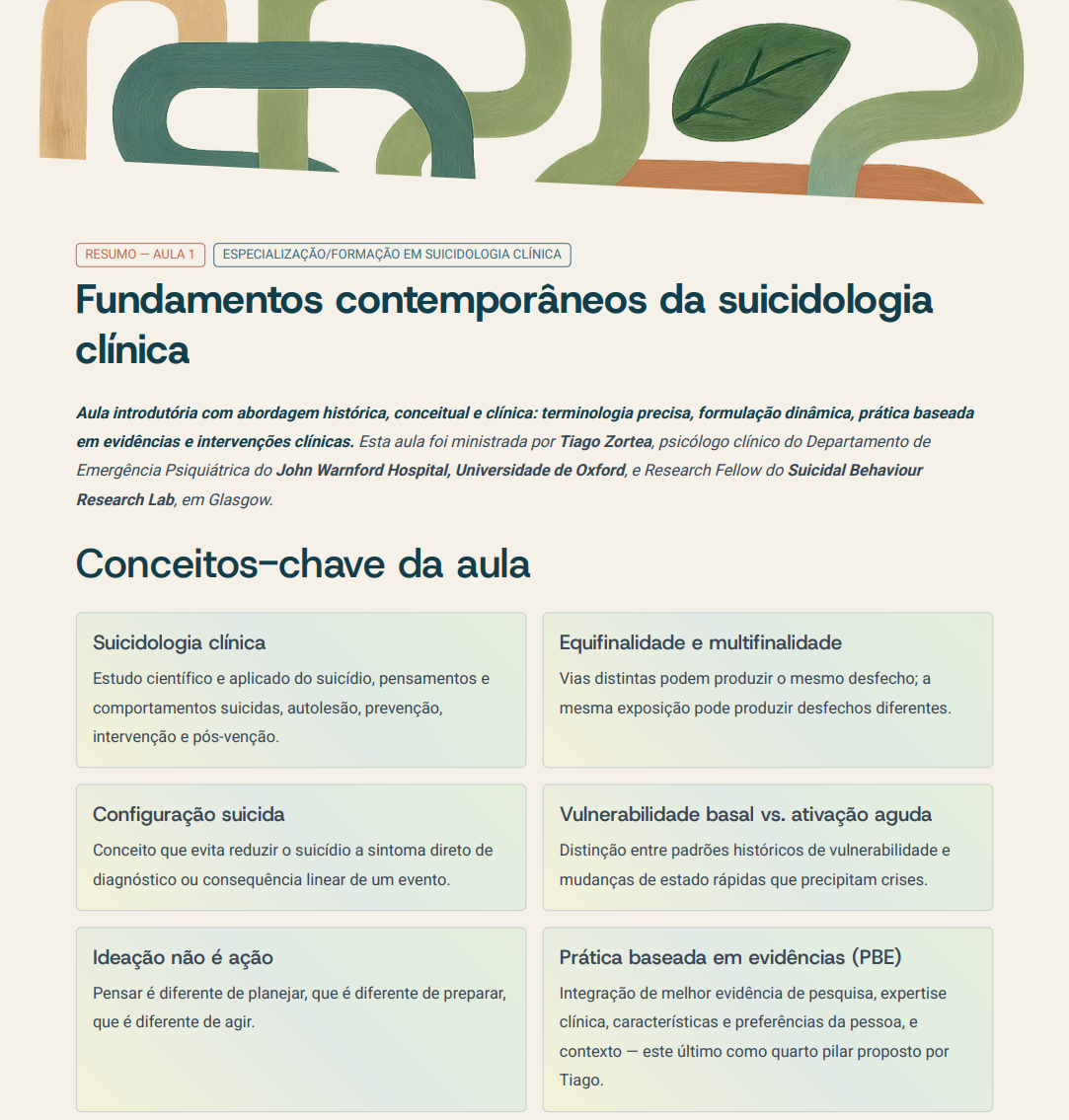 Exemplo real de resumo organizado de aula da Sínteses